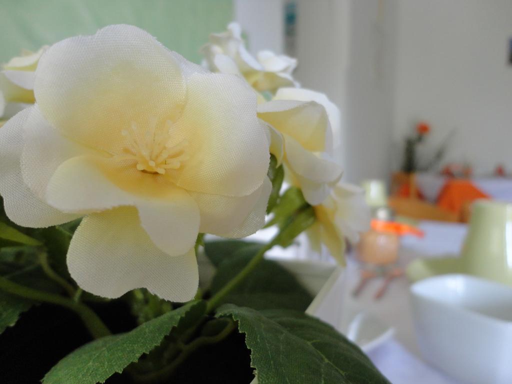 B&B Cristina เชนโตลา ภายนอก รูปภาพ